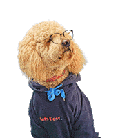 PetsBest dog puppy pet doodle Sticker