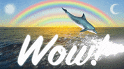 Oh My God Wow GIF by Holler Studios