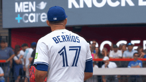 Blue Jays Smile GIF by Toronto Blue Jays