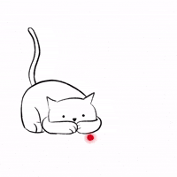 Cat GIF by cintascotch