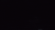 michael jones wtf GIF by Rooster Teeth