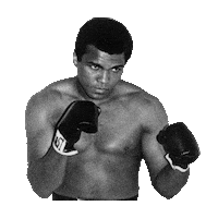 Muhammad Ali Fight Sticker by imoji