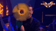 Antena 3 Smile GIF by Mask Singer A3