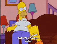 homer simpson episode 20 GIF