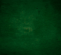 Ich Bin Ein Star Catwalk GIF by RTLde