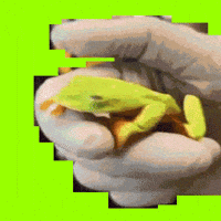 GIF by Lorna Mills