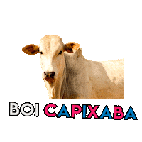 agriculturaes agricultura es capixaba espirito santo Sticker