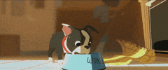 feels boston terrier GIF by Disney