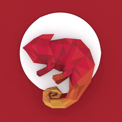 Socialgrooves giphyupload red chameleon socialgrooves GIF