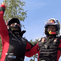 Team Winner GIF by FIA World Rally Championship
