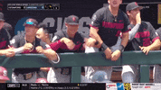 gostanford  GIF