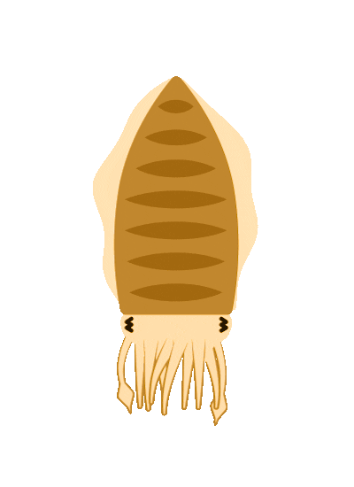 Marine Life Ocean Sticker by American Museum of Natural History