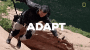 cbhhomes  GIF