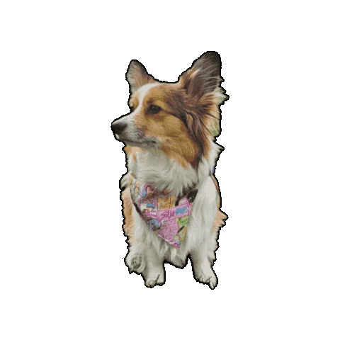 Corgi Bentley Sticker by Geekster Pets