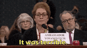 news impeachment impeachment inquiry impeachment hearings day two marie yovanovitch GIF