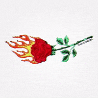 baruchgeuze rose baruch GIF