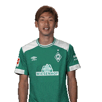 Werder Bremen Reaction Sticker by Bundesliga