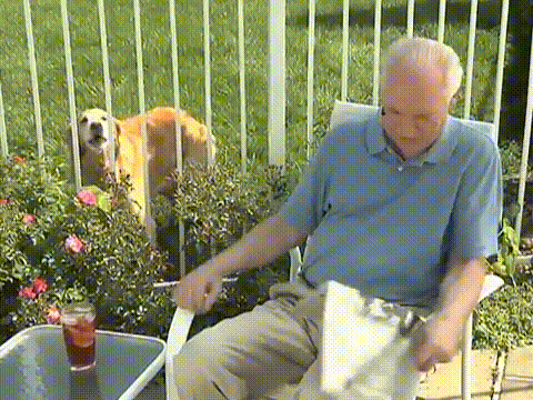 frustrated old man GIF