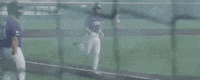 World Series Baseball GIF by NCAA Championships