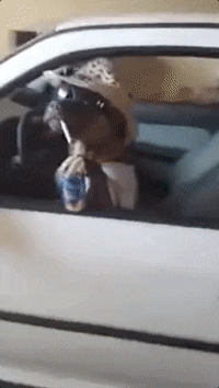 GIF by ViralHog