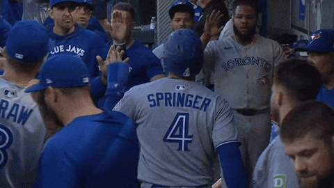 Blue Jays Baseball GIF by Toronto Blue Jays