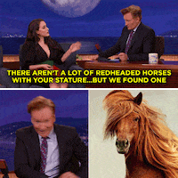 kat dennings horse GIF by Team Coco