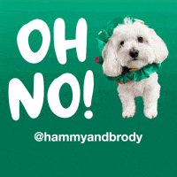 Oh No Dog GIF by HammyandBrody