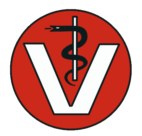 jobangebote tierarzt