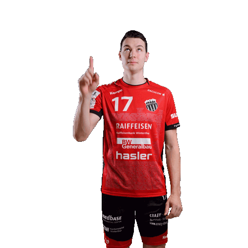 pfadiwinterthur giphyupload handballschweiz pfadiwinterthur gmeinsamfürpfadi Sticker