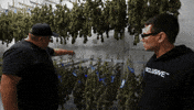 Grow Hung Up GIF by Exclusive Brands