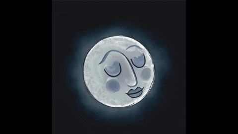 Moon Waning GIF
