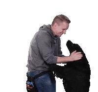 Good Boy Dog Sticker by fourplex GmbH