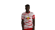 Football No Sticker by RB Leipzig