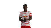 Happy Lets Go Sticker by RB Leipzig