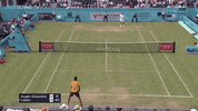 GIF by Tennis Channel