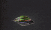 sci-fi glitch GIF by Tachyons+