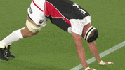 World Rugby Sport GIF by Rugby World Cup