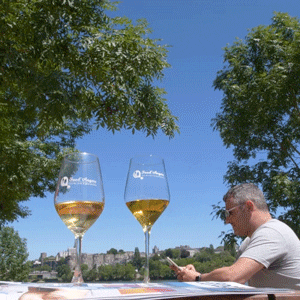 Ville_Angers giphyupload wine vin apero GIF