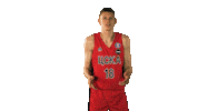 Cskabasket Sticker by CSKA Moscow