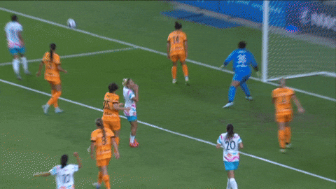 Sandiegowave GIF by National Women's Soccer League