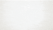 kissing steve coogan GIF by Showtime