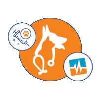 Cat Dog Sticker by Interhas