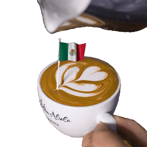 dritanalsela giphyupload coffee mexico flag GIF