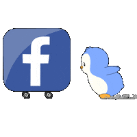 Social Media Penguin Sticker by Pudgy Penguins