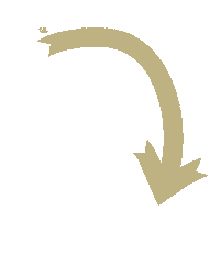 Arrow Check This Sticker