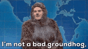 Snl GIF by Saturday Night Live