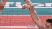 Game On Sport GIF by Volleyball World