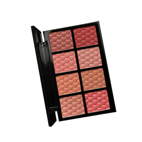 Cosmetics Palette Sticker by PAC