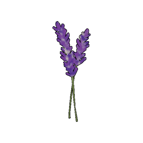 Lavendar Sticker by Evoolution