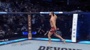 Jorge Masvidal Sport GIF by UFC